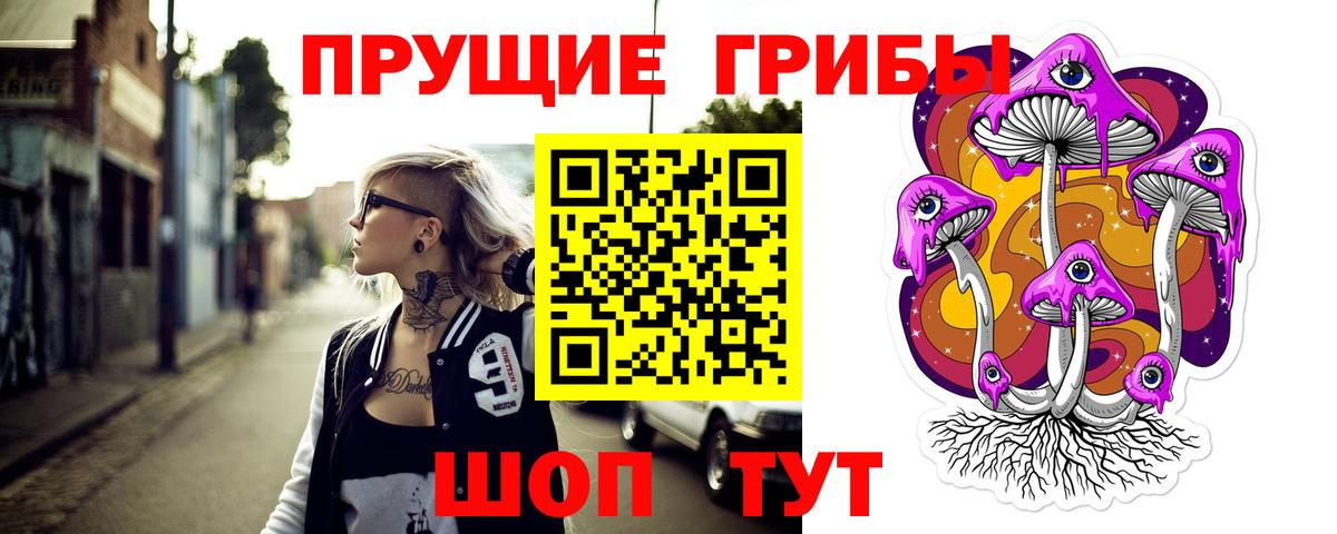 Псилоцибиновые грибы GOLDEN TEACHER  Вход с VPN  Ржев 